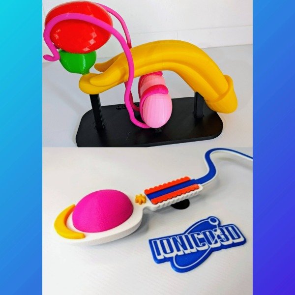 Producto - COMBO REPRODUCTOR MASCULINO + ESPERMATOZOIDE