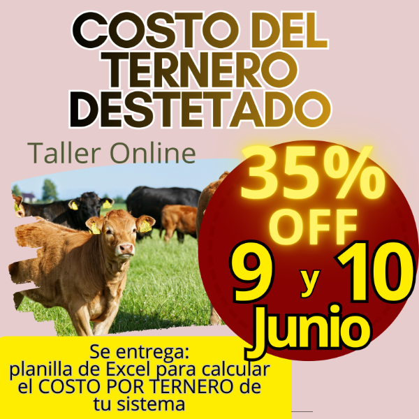 Producto - Taller Online: Costo del Ternero