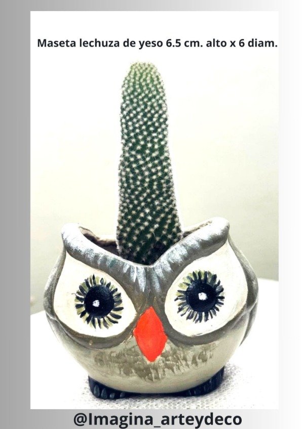 Producto - Mini Lechucita Deco