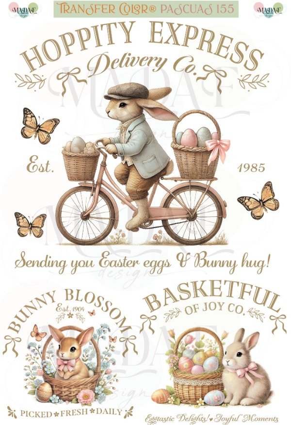 Producto - TRANSFER COLOR A4 155