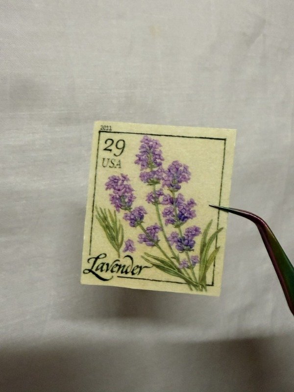 Producto - S206 - Estampilla Lavanda