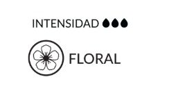 Producto - TODAY CLÁSICO 50 ML - 3