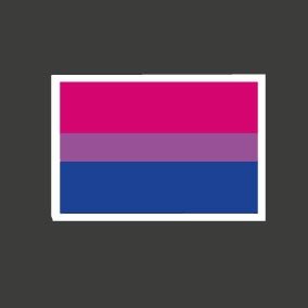 Producto - Bisexual, bandera 37