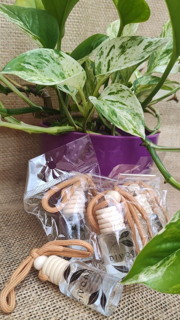 Producto - Difusor Autos / Placard