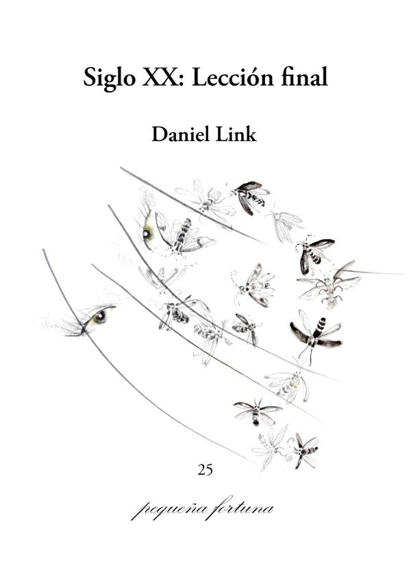 Producto - Siglo XX: Lección final - Daniel Link