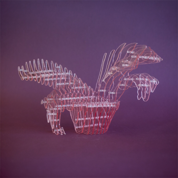 Producto - Hojas de Orquídea