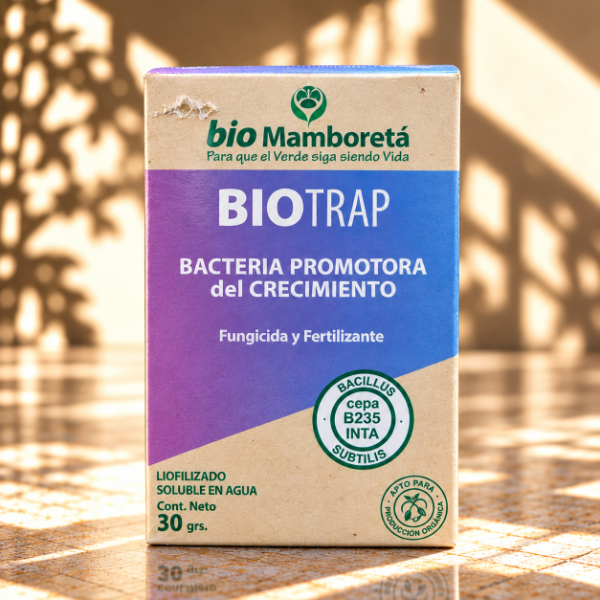 Producto - Mamboreta Bio TRAP