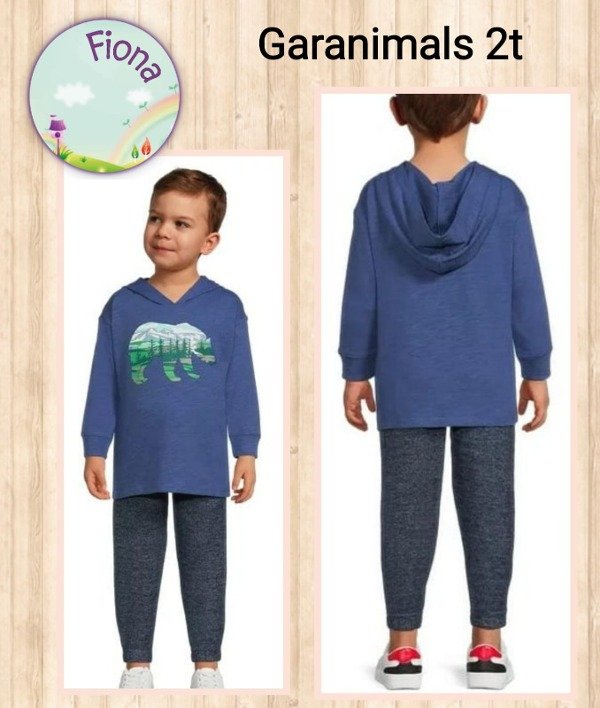 Producto - Duo Oso Bosque