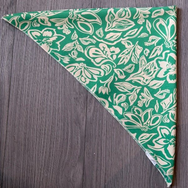 Producto - Pañuelo verde I