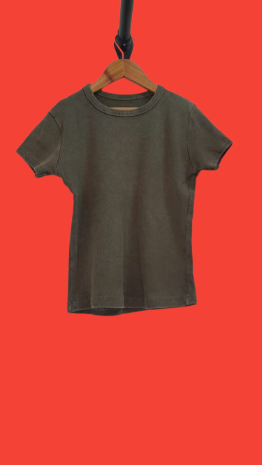 Producto - REMERA LUNA VERDE