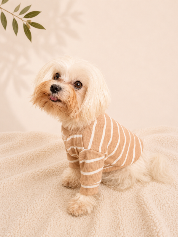Producto - Remera Latte