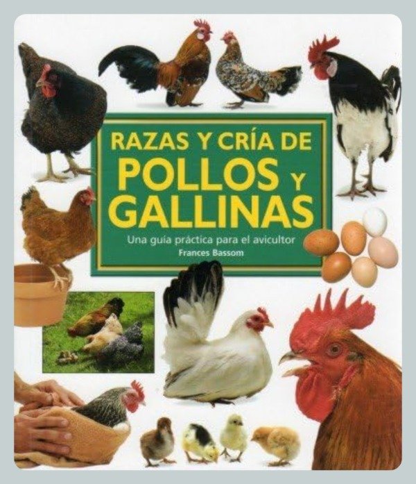 Producto - Bassom: Razas y Cría de Pollos y Gallinas