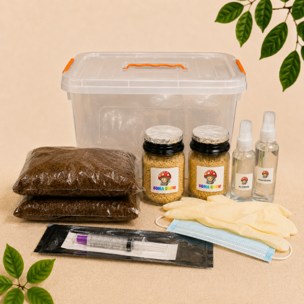 Producto - Kit Hongos Inoculación Avanzado