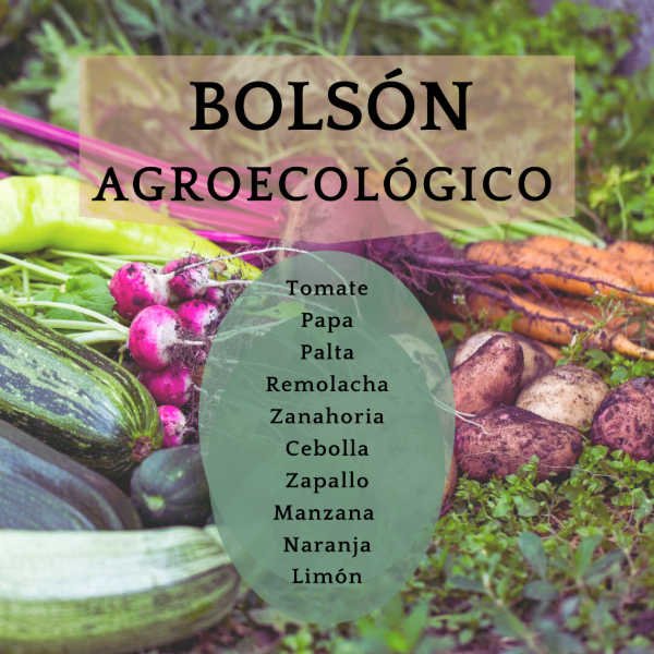 Producto - Bolsón de Frutas y Verduras Agroecológico 11kg