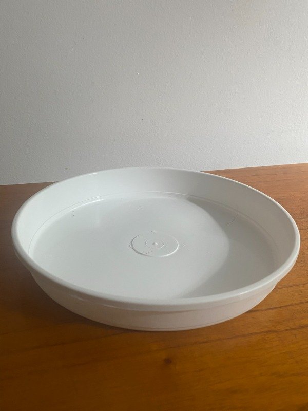 Producto - Plato n26