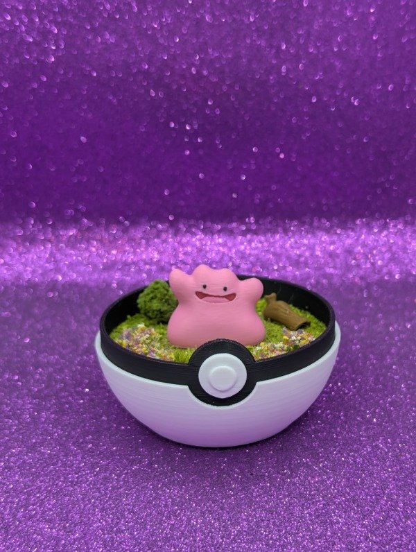 Producto - Diorama mini Ditto - 0