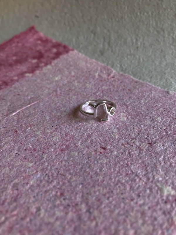 Producto - Anillo Capricornio