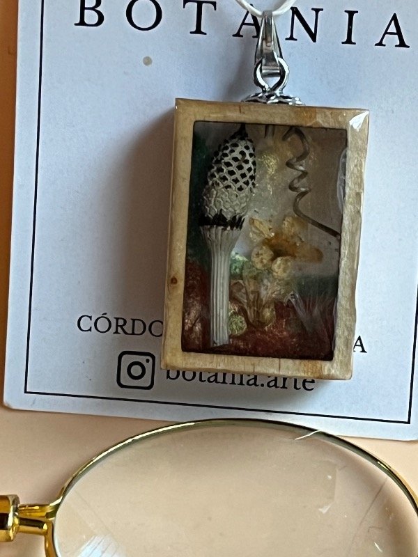 Producto - Mini cuadrito botánico