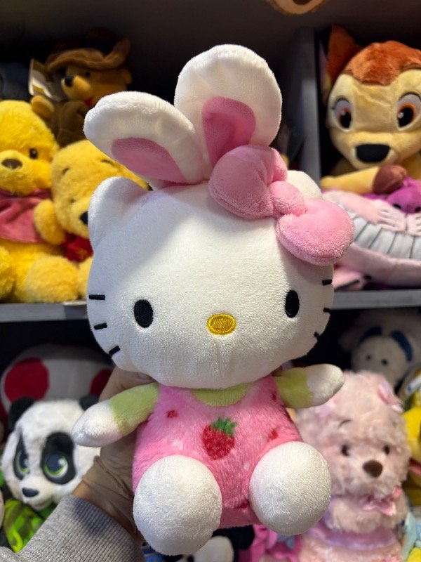 Producto - Hello Kitty coneja