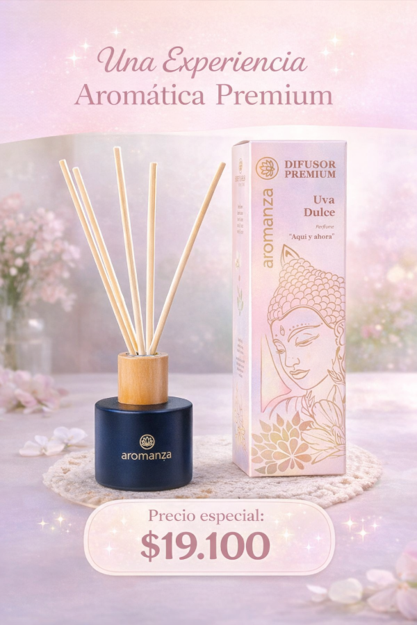 Producto - DIFUSOR PREMIUM 125ML