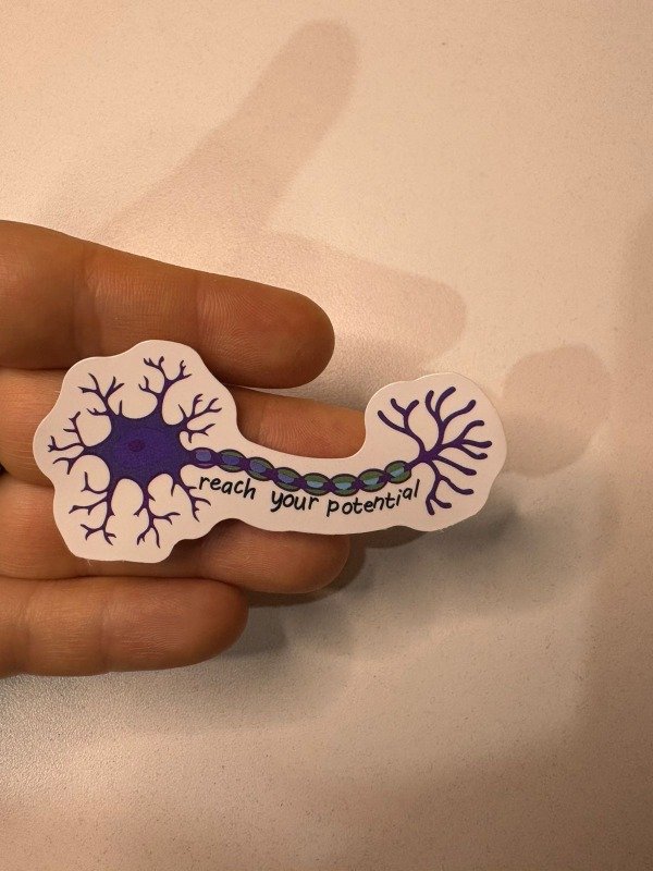 Producto - Sticker ciencias 58