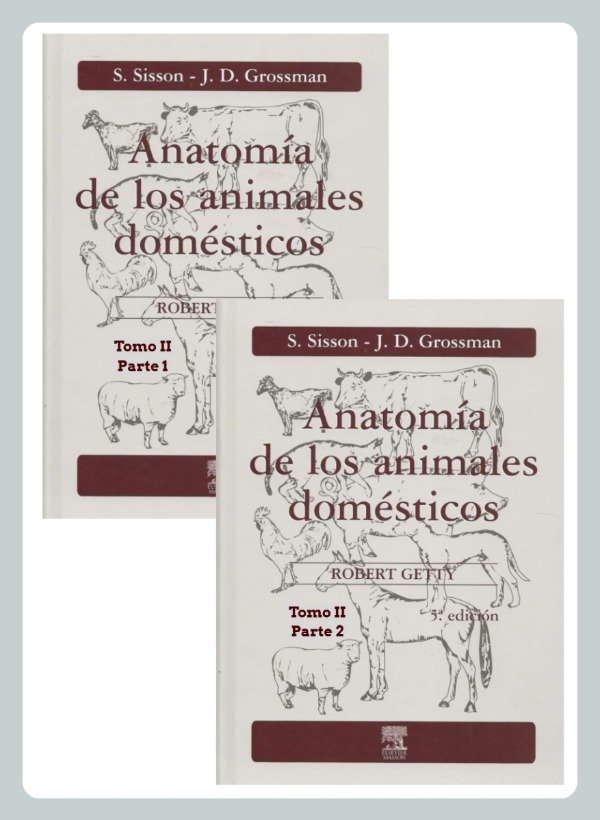 Producto - Sisson: Anatomía de los Animales Domésticos, 5ta - tomo 2 (ENC)