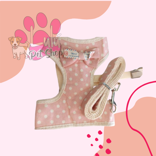 Producto - Conjunto arnés Z