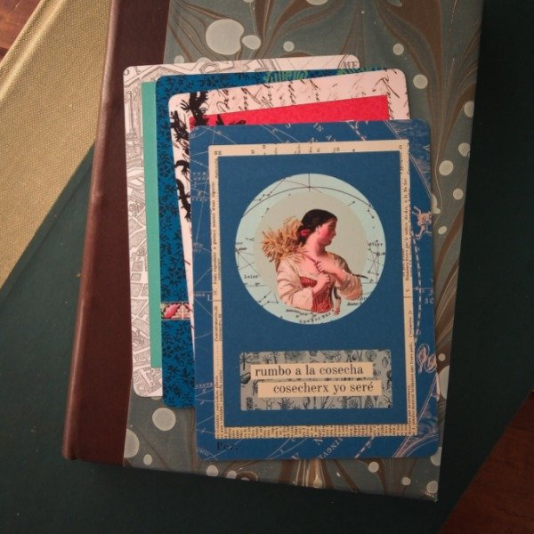 Producto - Postal Cosechera