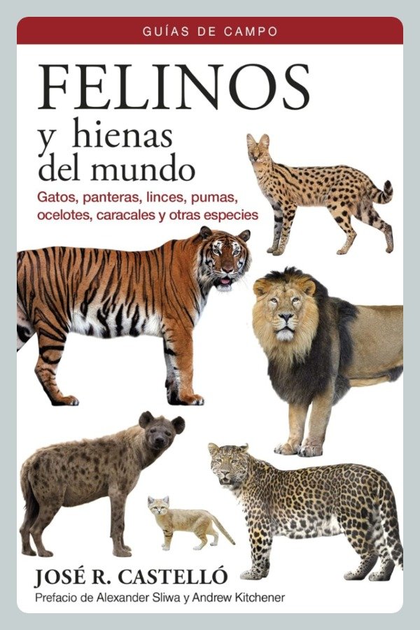 Producto - Castelló: Felinos y Hienas del Mundo