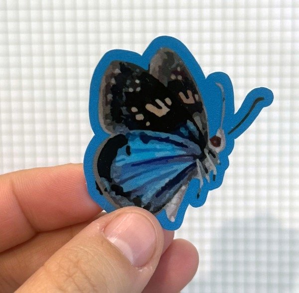 Producto - Sticker mariposa azul