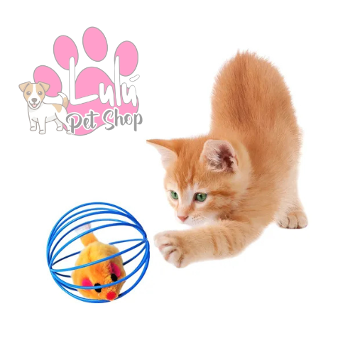 Producto - PELOTA JAULA N4