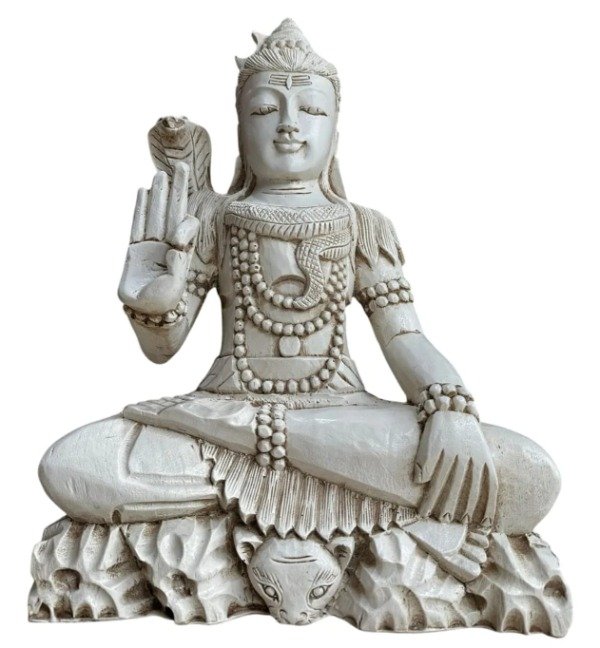 Producto - Shiva Intermedio