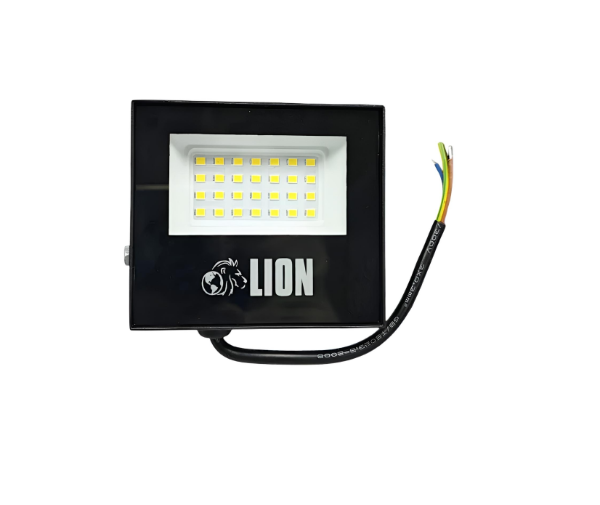 Producto - Proyector LED 20W luz fria - 1
