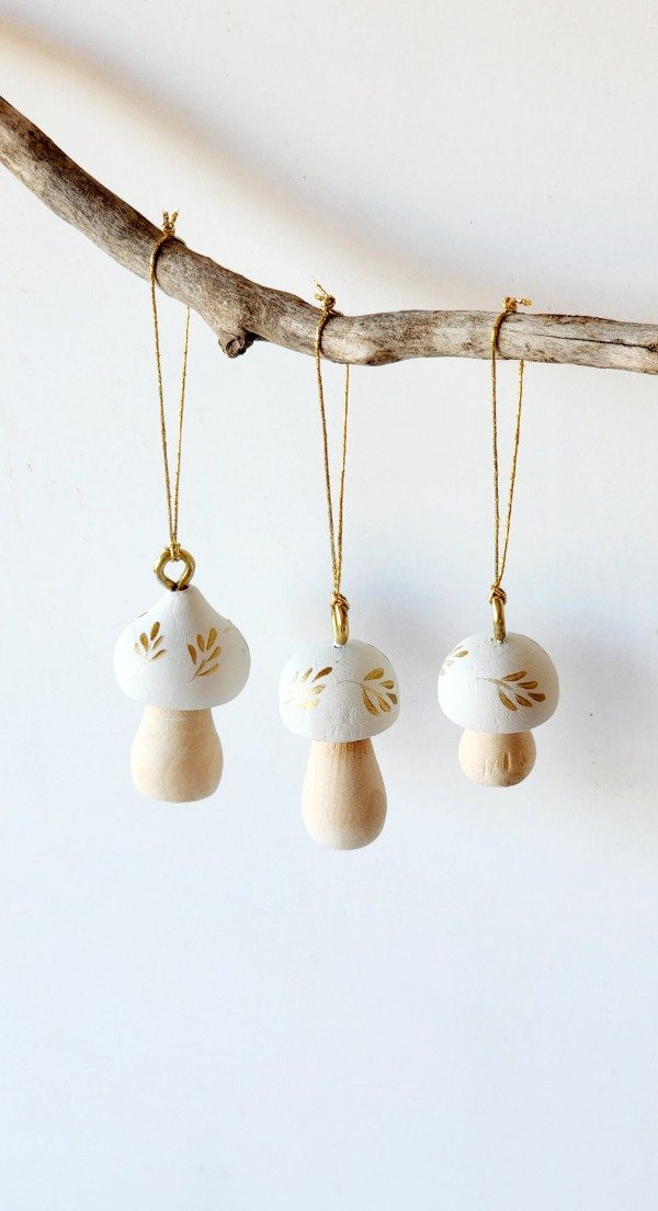 Producto - Setas