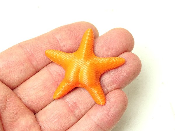 Producto - Estrella culona