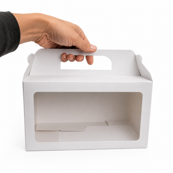 Producto - CAJA MALETIN CON VISOR 25X13X14 cm - 0