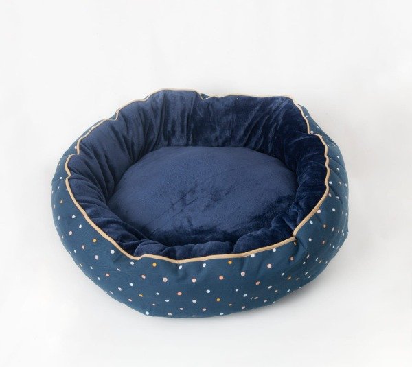Producto - Moisés Invierno