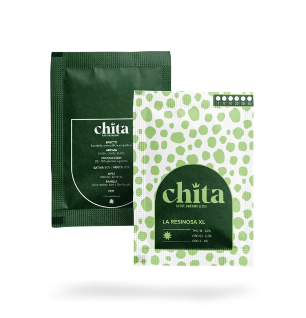 Producto - La Resinona Auto x 5 - Chita Seeds