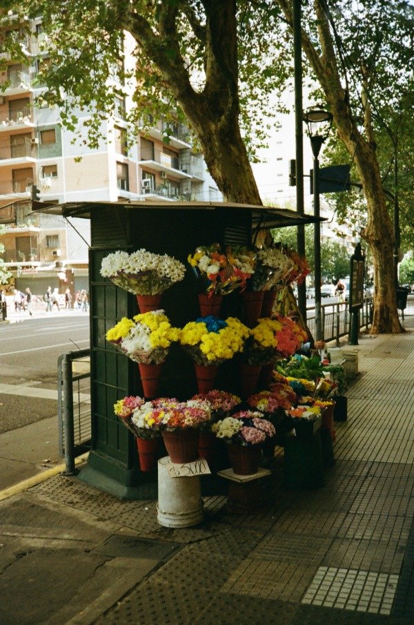 Producto - Puesto de flores