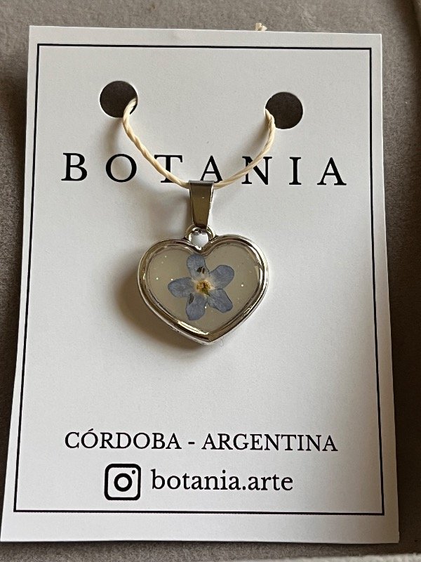 Producto - No me olvides 6 - 0