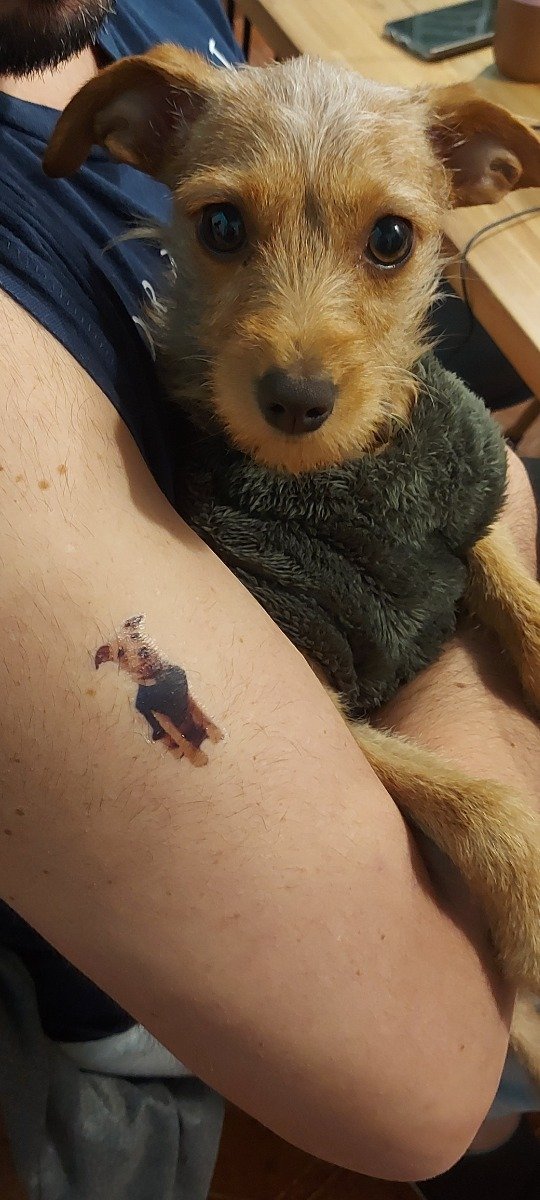 Producto - Tatuajes temporales