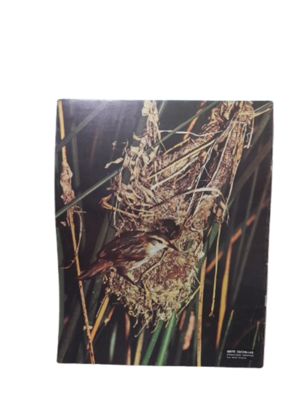 Miniatura de producto - 7