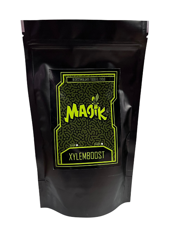 Producto - Xylem Boost Magik 150G