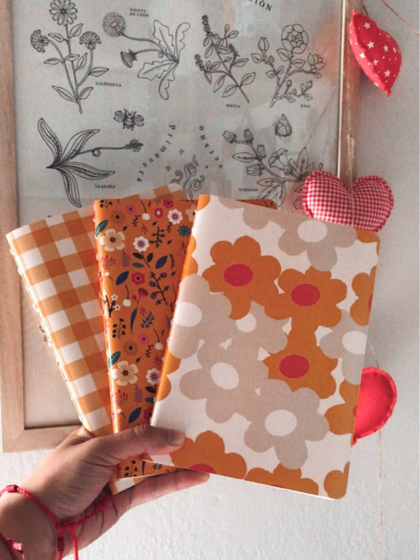 Producto - Edición Navidad , Caja Magica Aurora.