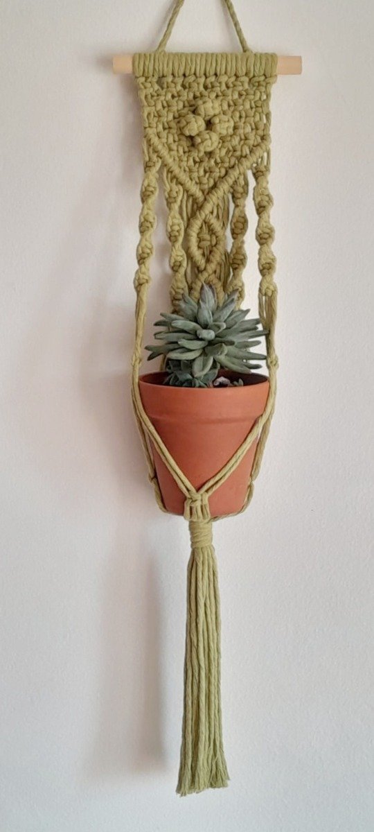 Producto - ONA