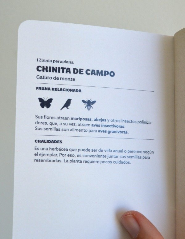 Producto - Libreta Chinita de Campo - 1