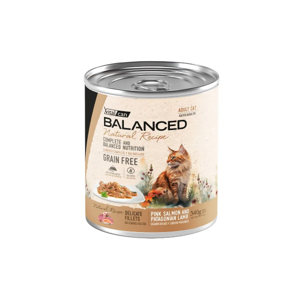 Producto - ALIMENTO HÚMEDO VITALCAN SALMÓN Y CORDERO 340gr