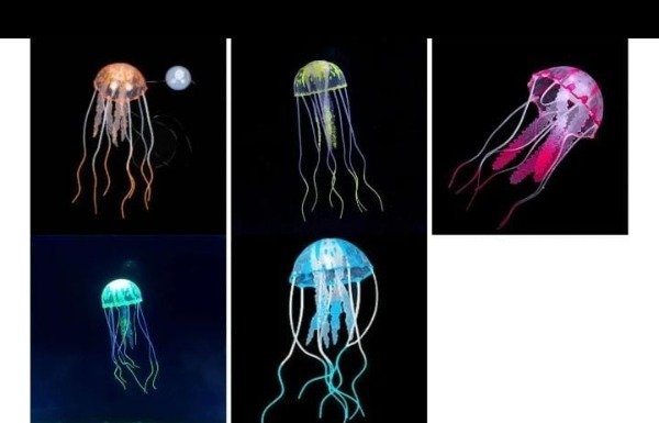 Producto - #AM0015-CB JELLY FISH ACUARIO C/CAJA CH #23560