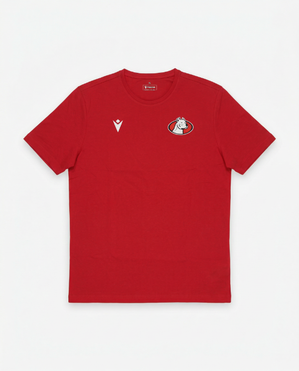 Producto - Remera Algodón Dogos XV 2026