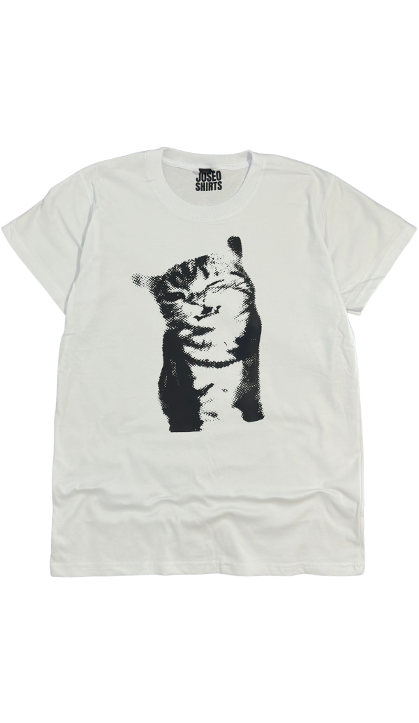Producto - Cat basic